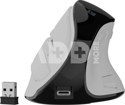 Natec Mouse | Euphonie Pro | Wireless | 2.4 GHz, Bluetooth | White