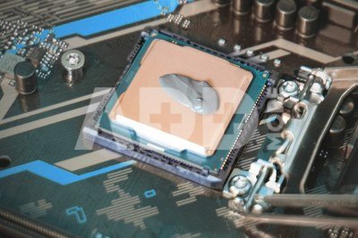 Natec thermal grease Husky Pup 0.5g