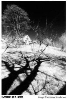 Ilford film SFX 200/36 EXP