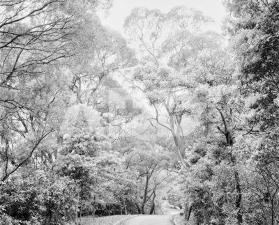 Rollei RPX 25 135-36 EXP