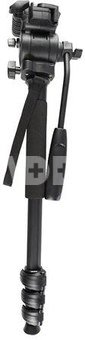 Nest Video Monopod WT-3958M H146 cm