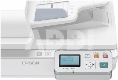 Epson Network Interface Panel