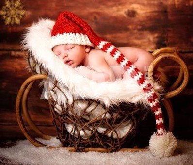 Newborn Fur Nest Grey Lamb SGLF15