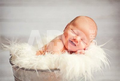 Newborn Fur Nest Pink Bubble Gum SBGF