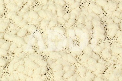 Newborn Popcorn Blanket Cream CRPB