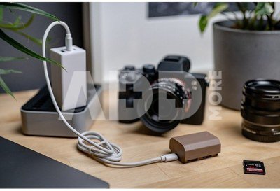 Newell replacement NP-FW50 USB-C battery for Sony