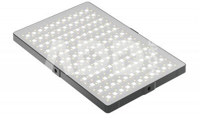 Newell RGB-W Rangha Max XL LED Lamp