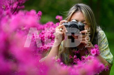 Nikon Z Fc body
