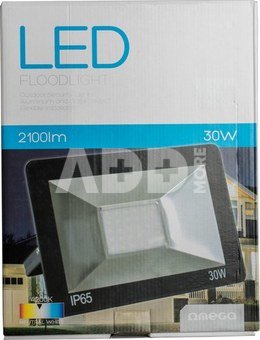 Omega LED floodlight 30W 4200K (43861)