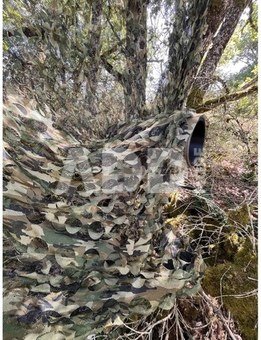 Tragopan Camo Net 2 PLY Understorey autumn