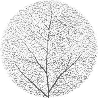 Padėkliukas stalo D38 cm sidabro spalvos Tree 4Living 618541