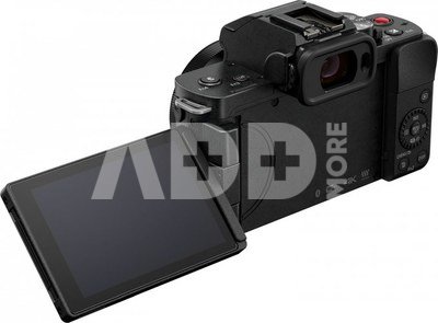 Panasonic Lumix DC-G100 + 12-32mm F3.5-5.6