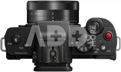 Panasonic Lumix DC-G100 + 12-32mm F3.5-5.6