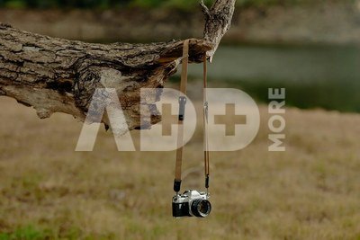 Peak Design camera strap Leash, kelp