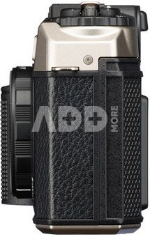 Pentax 17 (dark silver)
