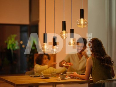 Philips Hue WCA Lightguide G95 | E27 | 6.8 W | White and colour light