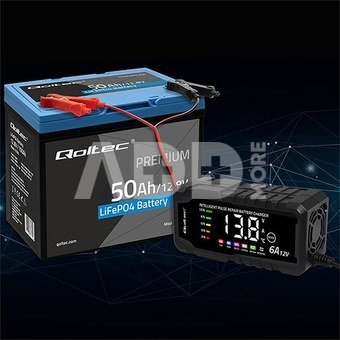 53704 LiFePO4 12.8V 50Ah