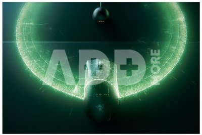 Razer DeathAdder V4 Pro Black