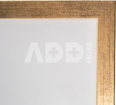 Rėmas 60x80, 2015 gold