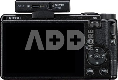 Ricoh Flash GF-2 WW