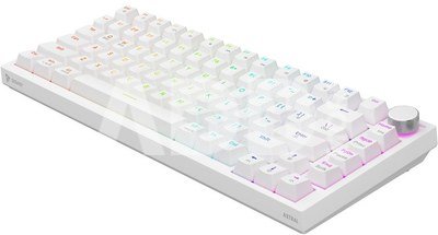 ASTRAL (EN) White