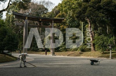 Sigma 16mm F1.4 DC DN Fujifilm X
