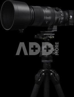 Sigma 60-600mm F4.5-6.3 DG DN OS Sony E [Sports]