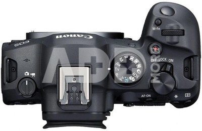 Canon EOS R6 Mark II body + adapter EF-EOS-R