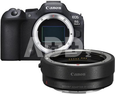 Canon EOS R6 Mark II body + adapter EF-EOS-R