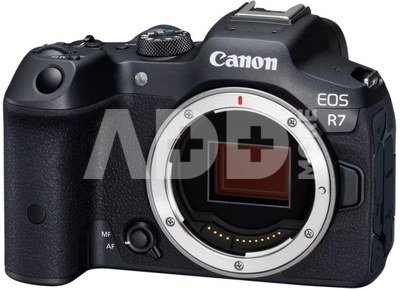 Canon EOS R7 + Canon RF 75-300mm