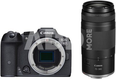 Canon EOS R7 + Canon RF 75-300mm