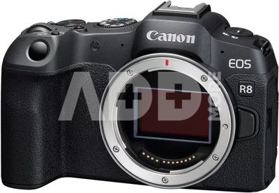 Canon EOS R8 body + adapter EF-EOS-R