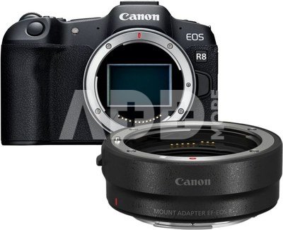 Canon EOS R8 body + adapter EF-EOS-R