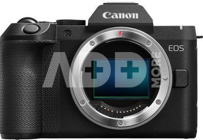 Canon EOS R8 Mark II + RF 24-105 F4-7.1 IS STM