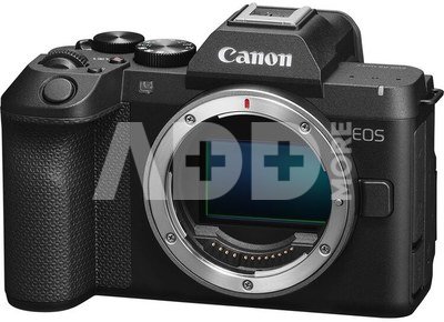 Canon EOS R8 Mark II + RF 24-105 F4-7.1 IS STM