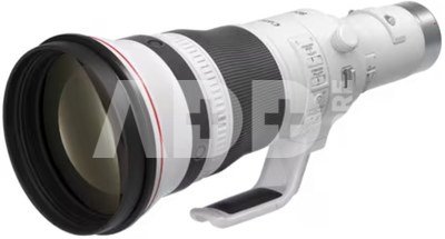 Canon RF 800mm F5.6L IS USM