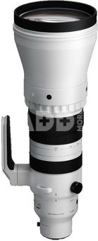 Sigma 300-600MM F4 DG OS SPORTS L-MOUNT