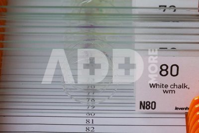 Skaidrių rinkinys Levenhuk N80 NG "See it all"