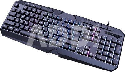 Speedlink keyboard Ludicium RGB Rainbow US (SL-670004-BK-US)