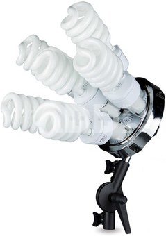 Westcott Spiderlite TD6 Perfect Portrait  2 Light Deluxe