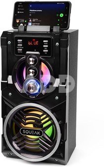 SQUEAK BLUETOOTH SPEAKER 5.1 K ARAOKE 20W SQ1000