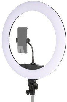 StudioKing LED Ring Lamp Set 65W LR-650