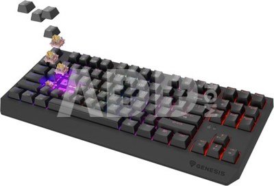 THOR 230 | Mechanical Gaming Keyboard | Wireless | US | Black | 2.4 GHz, Bluetooth, USB | Outemu Panda