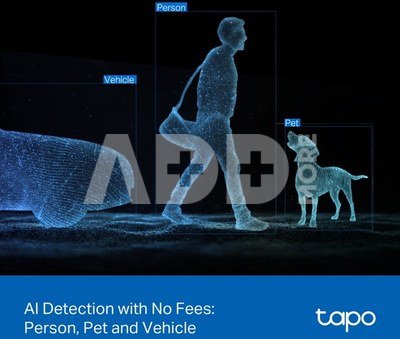 TP-LINK | Dual Lens Security Wi-Fi Camera | Tapo C545D | Dome | 3 MP | 6mm | IP66 | H.264 | MicroSD, up to 512 GB