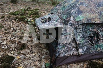 Tragopan Photo Hide HOKKI V3 thumbhide