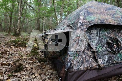 Tragopan Photo Hide HOKKI V3 thumbhide