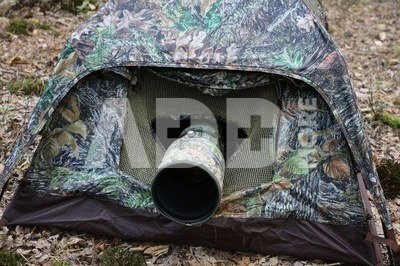 Tragopan Photo Hide HOKKI V3 thumbhide