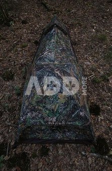 Tragopan Photo Hide HOKKI V3 thumbhide