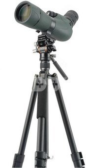 Vanguard Vesta GO 234 AV10