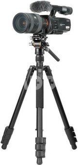 Vanguard Vesta GO 234 AV10